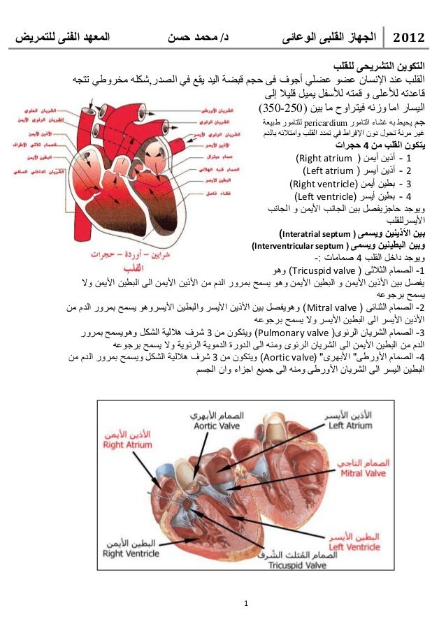 شركة طاقة توظيف