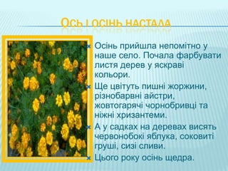 ОСЬ І ОСІНЬ НАСТАЛА
       Осінь прийшла непомітно у
        наше село. Почала фарбувати
        листя дерев у яскраві
        кольори.
       Ще цвітуть пишні жоржини,
        різнобарвні айстри,
        жовтогарячі чорнобривці та
        ніжні хризантеми.
       А у садках на деревах висять
        червонобокі яблука, соковиті
        груші, сизі сливи.
       Цього року осінь щедра.
 