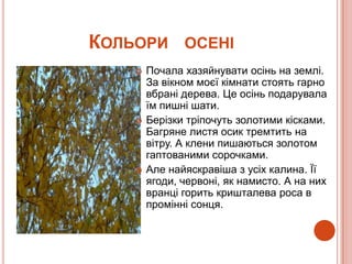КОЛЬОРИ ОСЕНІ
       Почала хазяйнувати осінь на землі.
        За вікном моєї кімнати стоять гарно
        вбрані дерева. Це осінь подарувала
        їм пишні шати.
       Берізки тріпочуть золотими кісками.
        Багряне листя осик тремтить на
        вітру. А клени пишаються золотом
        гаптованими сорочками.
       Але найяскравіша з усіх калина. Її
        ягоди, червоні, як намисто. А на них
        вранці горить кришталева роса в
        промінні сонця.
 