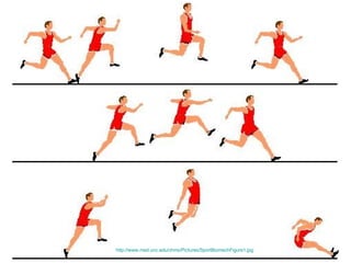http://www.med.unc.edu/chms/Pictures/SportBiomechFigure1.jpg   
