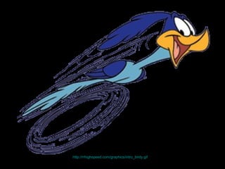 http://rrhighspeed.com/graphics/intro_birdy.gif   