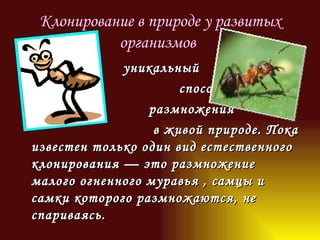 Клонирование в природе у развитых организмов   уникальный   способ  размножения  в живой природе. Пока известен только один вид естественного клонирования — это размножение малого огненного муравья , самцы и самки которого размножаются, не спариваясь. 