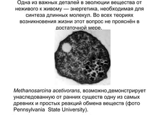 Одна из важных деталей в эволюции вещества от неживого к живому — энергетика, необходимая для синтеза длинных молекул. Во всех теориях возникновения жизни этот вопрос не прояснён в достаточной мере.   Methanosarcina acetivorans , возможно,демонстрирует унаследованную от ранних существ одну из самых древних и простых реакций обмена веществ (фото Pennsylvania  State University).  