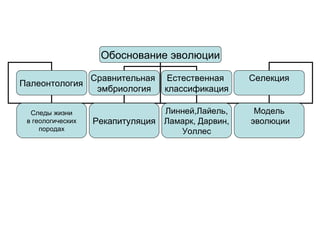 Обоснование эволюции Палеонтология   Сравнительная  эмбриология Естественная  классификация Рекапитуляция Селекция Следы жизни в геологических породах Линней,Лайель, Ламарк, Дарвин, Уоллес Модель эволюции 
