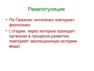 Рекапитуляция  По Геккелю: онтогенез повторяет филогенез ( стадии, через которые проходит организм в процессе развития, повторяет эволюционную историю вида) 