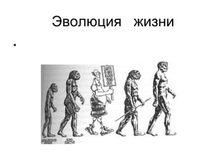 Эволюция  жизни 