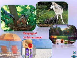 Ваканция!
Хайде на море!
 
