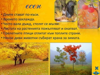 • Дните стават по-къси.
• Времето захлажда.
• Често вали дъжд, стелят се мъгли.
• Листата на растенията пожълтяват и окапват.
• Прелетните птици отлитат към топлите страни.
• Някои диви животни събират храна за зимата.
 