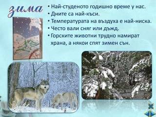 • Най-студеното годишно време у нас.
• Дните са най-къси.
• Температурата на въздуха е най-ниска.
• Често вали сняг или дъжд.
• Горските животни трудно намират
  храна, а някои спят зимен сън.
 