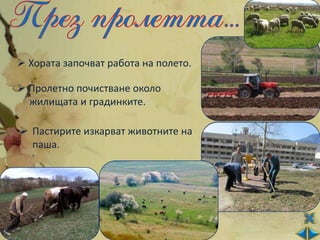  Хората започват работа на полето.

 Пролетно почистване около
  жилищата и градинките.

 Пастирите изкарват животните на
  паша.
 