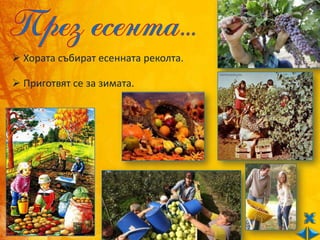  Хората събират есенната реколта.

 Приготвят се за зимата.
 