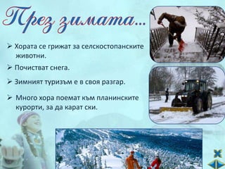  Хората се грижат за селскостопанските
  животни.
 Почистват снега.
 Зимният туризъм е в своя разгар.

 Много хора поемат към планинските
  курорти, за да карат ски.
 