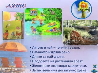 • Лятото е най – топлият сезон.
• Слънцето изгрява рано.
• Дните са най-дълги.
• Плодовете на растенията зреят.
• Животните отглеждат малките си.
• За тях вече има достатъчно храна.
 