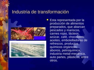 Industria de transformación
                   Esta representada por la
                    producción de alimentos
                    preparados, que abarcan
                    pescados y mariscos,
                    carnes rojas, lácteos,
                    azúcar, café, chocolates,
                    aceites, embotelladoras de
                    refrescos, productos
                    químicos orgánicos;
                    abonos, petroquímica,
                    industria metal-mecánica,
                    auto partes, plásticos, entre
                    otros.
 