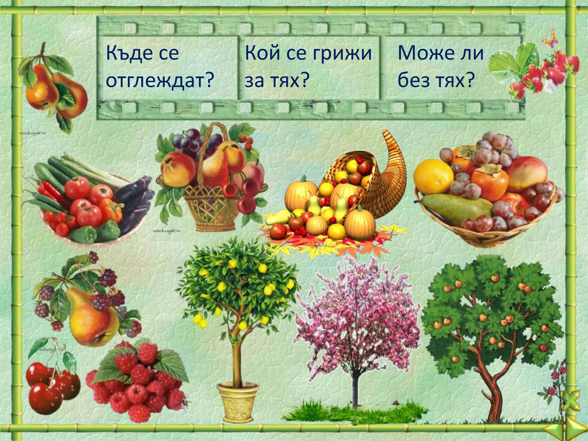 Разнообразният свят на растенията - 2 клас | PPT