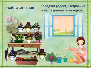 Създават радост, настроение
СТАЙНИ РАСТЕНИЯ
                  и уют в домовете на хората.
 