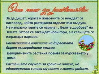 За да дишат, хората и животните се нуждаят от
кислород, който растенията отделят във въздуха.
Не напразно горите се наричат „ Белите дробове” на
Земята.Затова се засаждат нови гори, а в селищата се
изграждат паркове.
Бактериите в корените на дърветата
борят въглеродните емисии.
Декоративните растения поемат замърсяването у
дома.
Растенията служат за храна на човека, но
едновременно с това му носят и голяма радост.
 