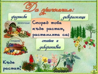 градински                      диворастящи
      зеленчуци   Според това
                  къде растат,
                  растенията са:
  плодове            стайни и
                    декоративни

Къде
растат?
 