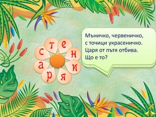 Златна царица прилича
         Отвън зелено, сянка
         Мъничко,счервеничко,
         На слънце тънка
          Момиче много
            Жълтушка, дебелушка,

  т ен
            Бонбончета червени
         Къщичкачервено.
                   костелива,
         със свилена люлее,
         Отвътреснегакосица,
          главакъм негодружка.
            на  в украсеничко.
         и всеябълката изнича.
         с точици
с           с опашчици зелени.
         четири близначки скрива.
         в червения вир
         В шума облечена,
         Що е то? на камбанка,
          прилича
         Царя отто?ме ...
            Наричат отбива.
                е пътя
            Щото?
         Що е рибки плуват.
         от поле шалче вее
         черни довлечена..
          зелено
         Що е то?
а и      Що е то?
          Що е то?

  р я
 