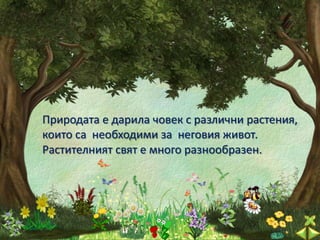 Природата е дарила човек с различни растения,
които са необходими за неговия живот.
Растителният свят е много разнообразен.
 