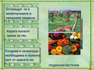 Отглеждат се в
зеленчуковите и
овощните градини.


Хората полагат
грижи за тях.



Плодове и зеленчуци -
необходима и полезна
част от храната ни.
                        ГРАДИНСКИ РАСТЕНИЯ
 