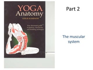 Part 2



The muscular
   system
 