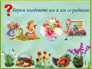 Берем плодовете им и им се радваме.
 