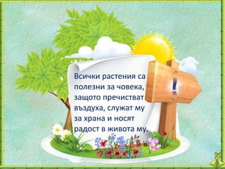 Всички растения са
полезни за човека,
защото пречистват
въздуха, служат му
за храна и носят
радост в живота му.
 