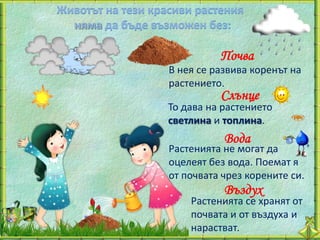 Почва
В нея се развива коренът на
растението.
          Слънце
То дава на растението
светлина и топлина.
           Вода
Растенията не могат да
оцелеят без вода. Поемат я
от почвата чрез корените си.
           Въздух
    Растенията се хранят от
    почвата и от въздуха и
    нарастват.
 