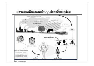 ผลของมลพิิษอากาศตอมนุษยและสิงแวดลอม
                                 ิ่




ที่มา: www.epa.gov
 