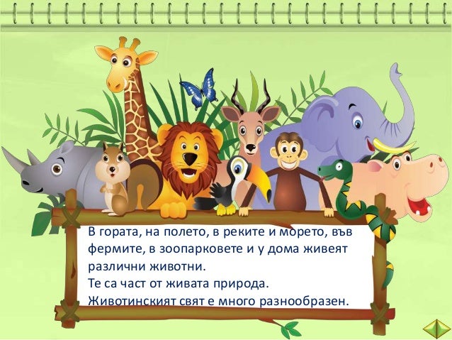 Животните около нас - 2 клас - В. П.