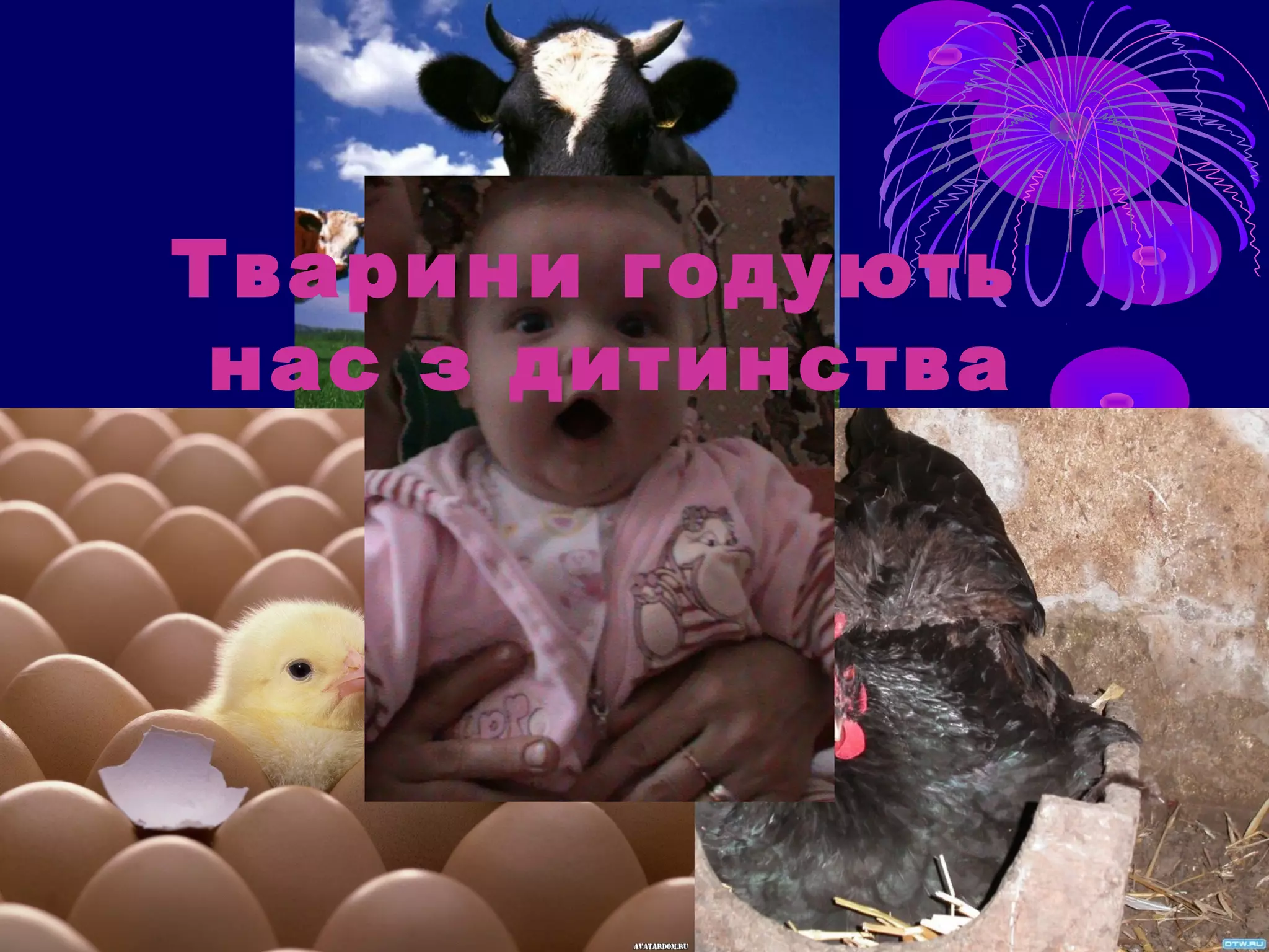 Тварини годують
 нас з дитинства
 