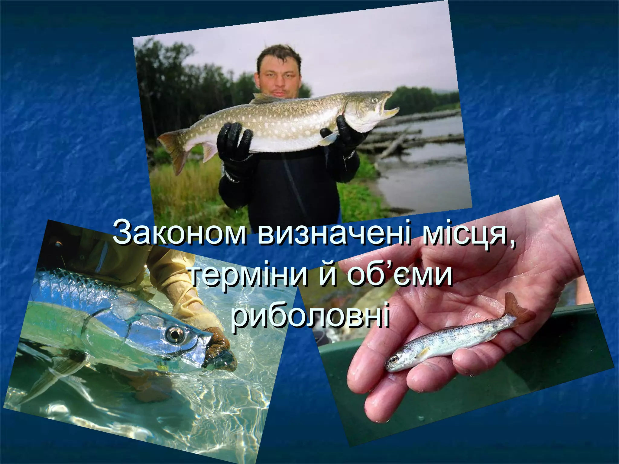 Законом визначені місця,
    терміни й об’єми
      риболовні
 