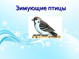 Зимующие птицы
 