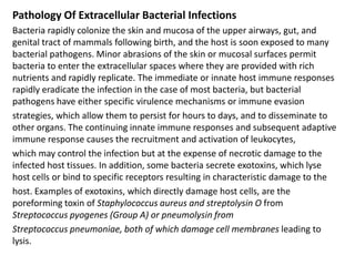 Extracellular Infection bacterial immunopathology | PPTX