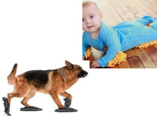 עופר פריאל   יצירתיות חיבור דברים לאי כנס חולון 2