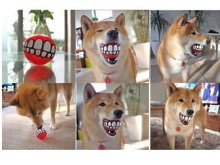 עופר פריאל   יצירתיות חיבור דברים לאי כנס חולון 2