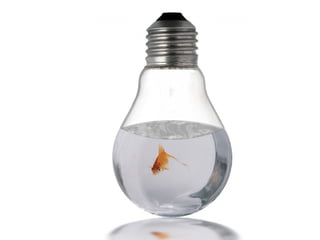 עופר פריאל   יצירתיות חיבור דברים לאי כנס חולון 2