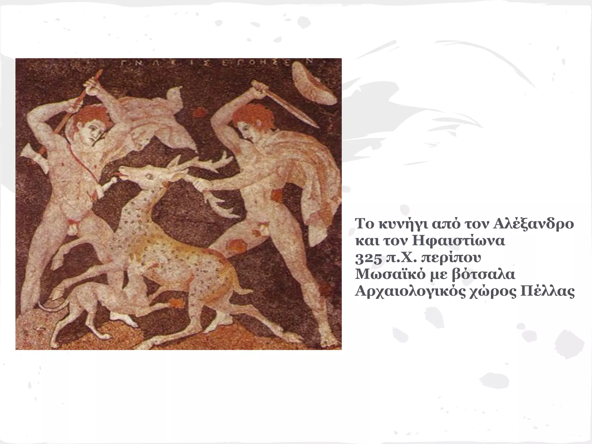 Το κυνήγι από τον Αλέξανδρο
και τον Ηφαιστίωνα
325 π.Χ. περίπου
Μωσαϊκό με βότσαλα
Αρχαιολογικός χώρος Πέλλας
 