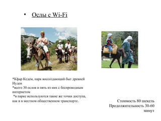 • Пикник в горах
                            Услуги для туристов




  Сотрудники – профессиональные лыжники
  Доставка на небольшую высоту стоит 15$
  Доставка на пик горы – 70$
 
