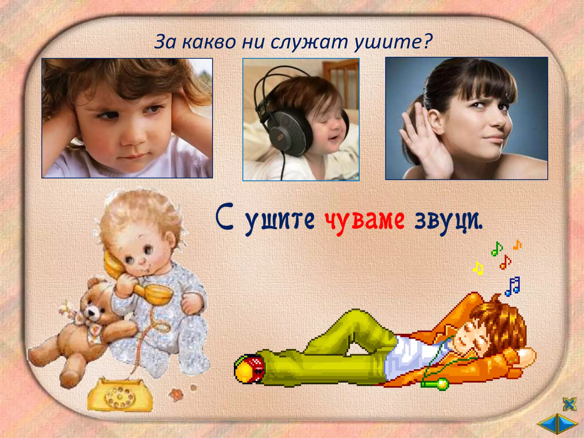 За какво ни служат ушите?
 