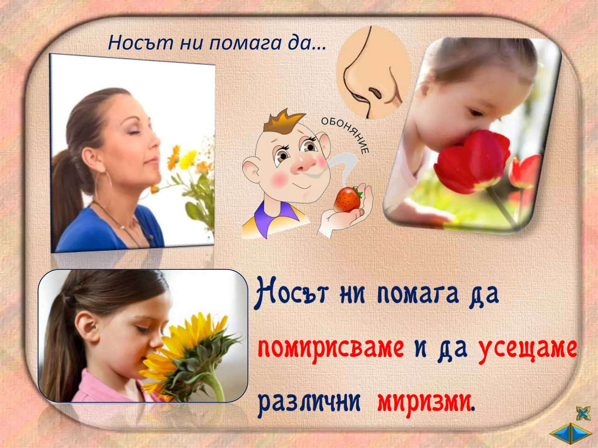 Носът ни помага да…
 