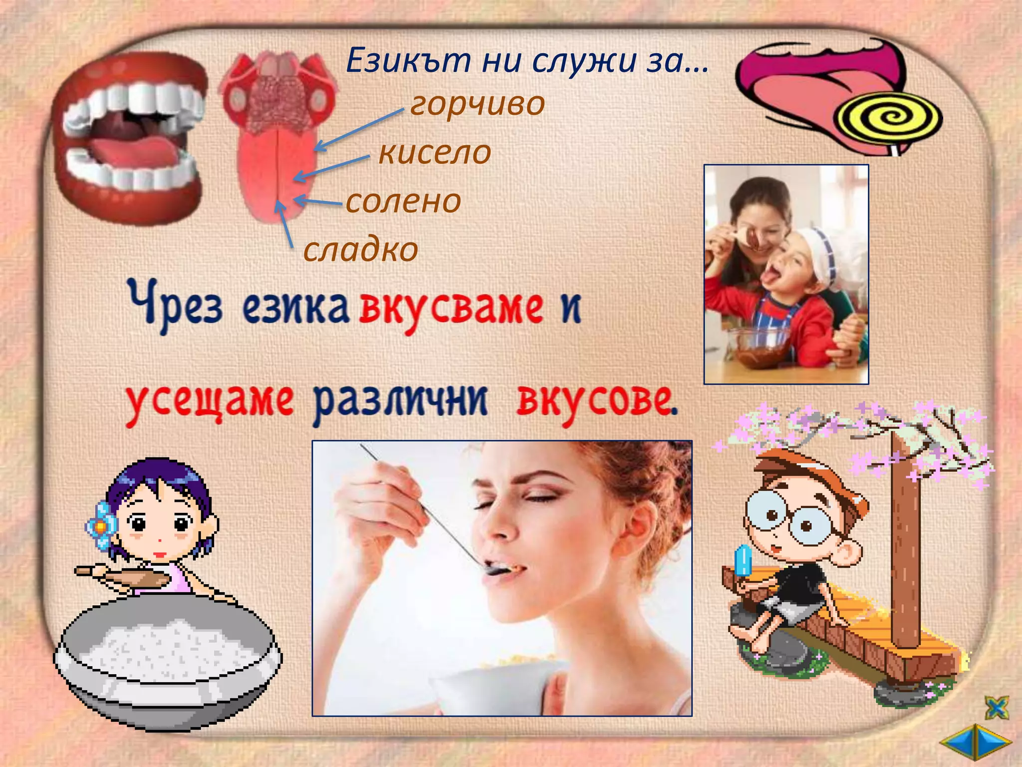 Езикът ни служи за…
      горчиво
    кисело
  солено
сладко
 