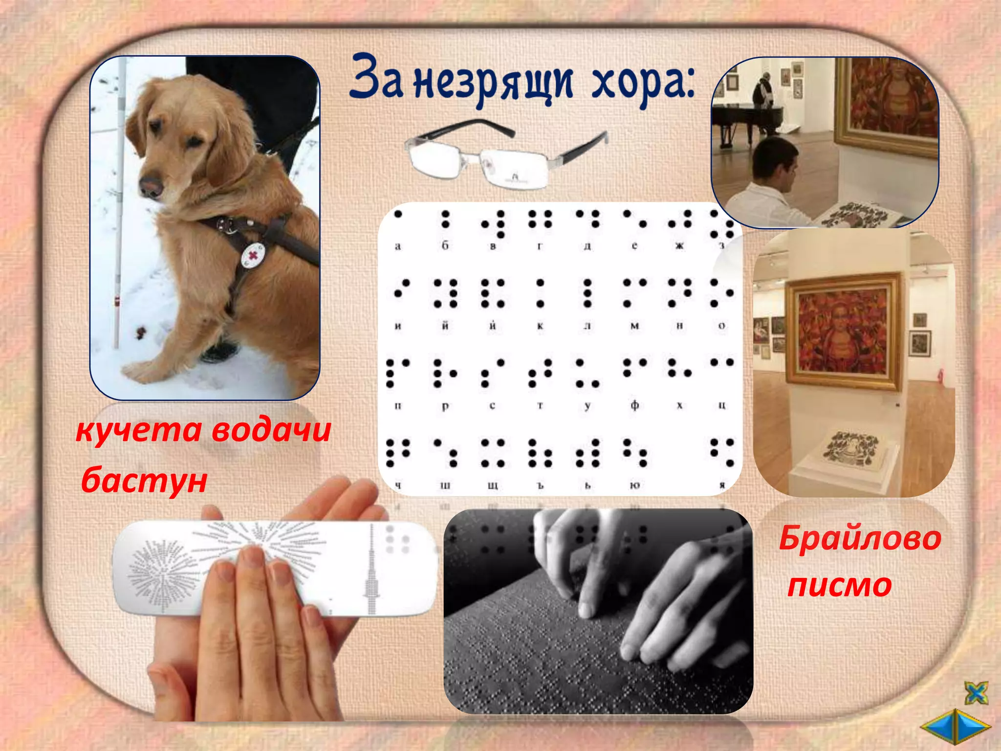 кучета водачи
бастун
                Брайлово
                писмо
 