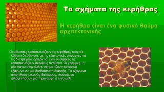 Τα σχήματα της κερήθρας

                               Η κερήθρα είναι ένα φυσικό θαύμα
                               αρχιτεκτονικής


Οι μέλισσες κατασκευάζουν τις κερήθρες τους σε
 κάθετη διεύθυνση, με τις εξαγωνικές σήραγγες να
 τις διατρέχουν οριζόντια, ενώ οι σφήκες τις
 κατασκευάζουν ακριβώς αντίθετα. Οι γραμμές, η
 μία πάνω στην άλλη, σχηματίζουν κανονικά
 εξάγωνα σε μία δισδιάστατη διάταξη. Τα εξάγωνα
 αποτελούν μικρούς θαλάμους, ικανούς να
 φιλοξενήσουν μία προνύμφη ή λίγο μέλι.
 
