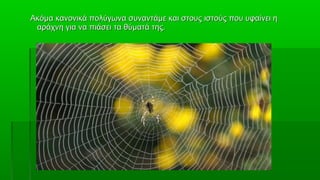 Ακόμα κανονικά πολύγωνα συναντάμε και στους ιστούς που υφαίνει η
 αράχνη για να πιάσει τα θύματά της.
 