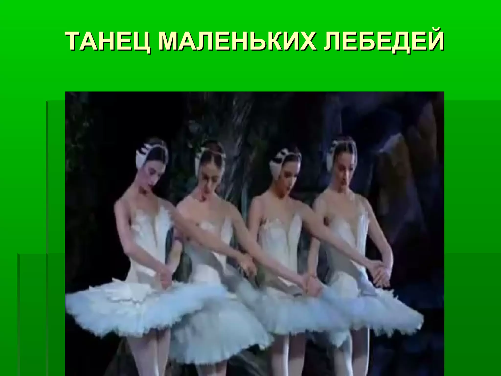 ТАНЕЦ МАЛЕНЬКИХ ЛЕБЕДЕЙ
 