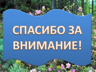 презентация2