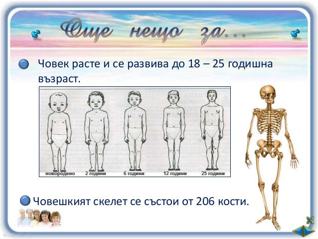 Какво научих за човешкото тяло и храненето - ОС - 2 клас