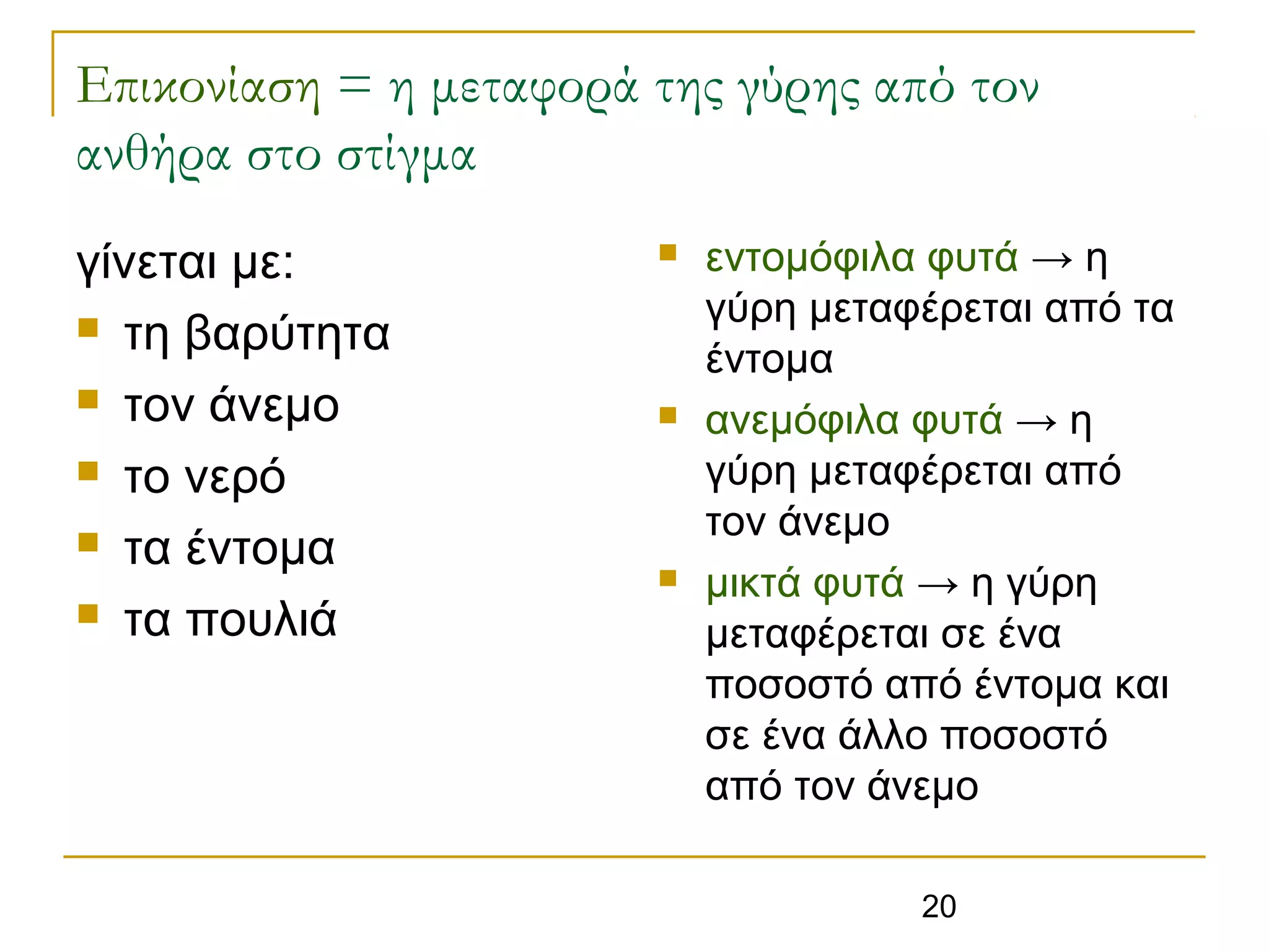 20
Επικονίαση = η μεταφορά της γύρης από τον
ανθήρα στο στίγμα
γίνεται με:
 τη βαρύτητα
 τον άνεμο
 το νερό
 τα έντομα
 τα πουλιά
 εντομόφιλα φυτά → η
γύρη μεταφέρεται από τα
έντομα
 ανεμόφιλα φυτά → η
γύρη μεταφέρεται από
τον άνεμο
 μικτά φυτά → η γύρη
μεταφέρεται σε ένα
ποσοστό από έντομα και
σε ένα άλλο ποσοστό
από τον άνεμο
 